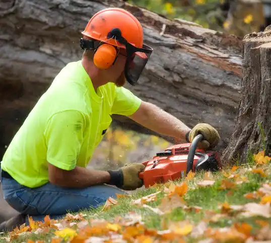 tree services Village St. George